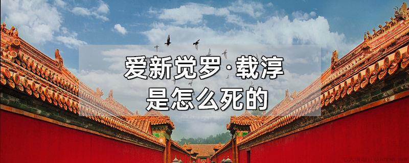 爱新觉罗·载淳是怎么死的