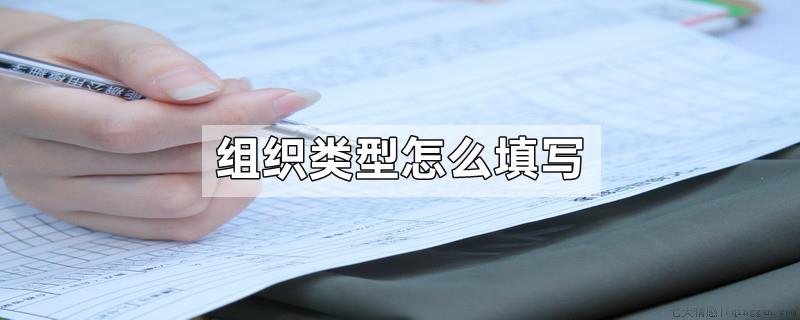 组织类型怎么填写