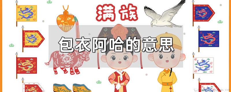 包衣阿哈的意思是