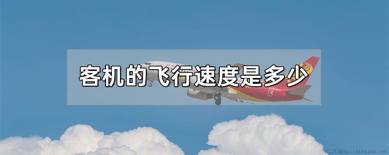 客机的飞行速度是多少