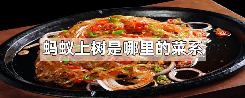 蚂蚁上树是哪里的菜系