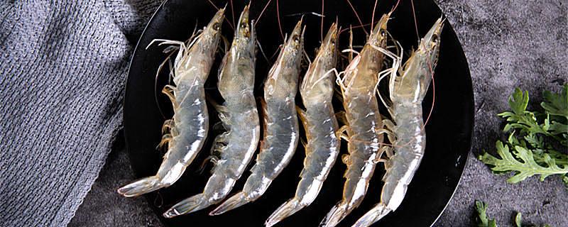 虾背和虾腹部上的黑线分别是什么