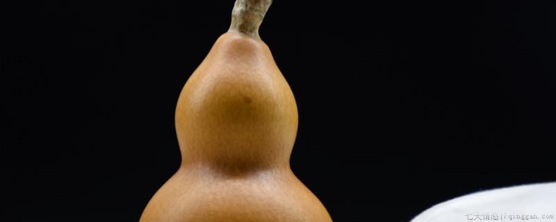 盆栽葫芦用多大的盆