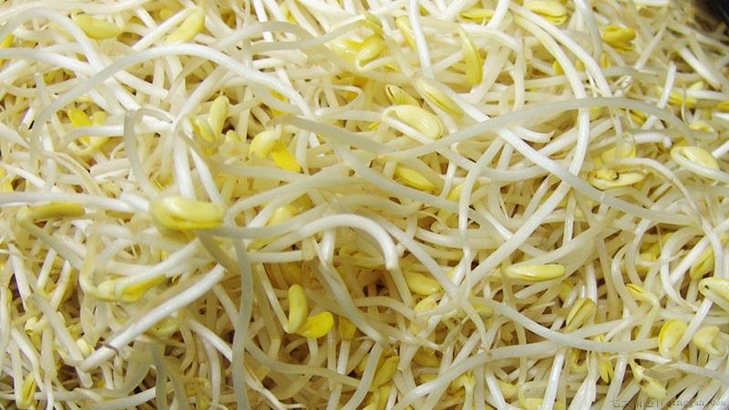 黄豆芽怎么发