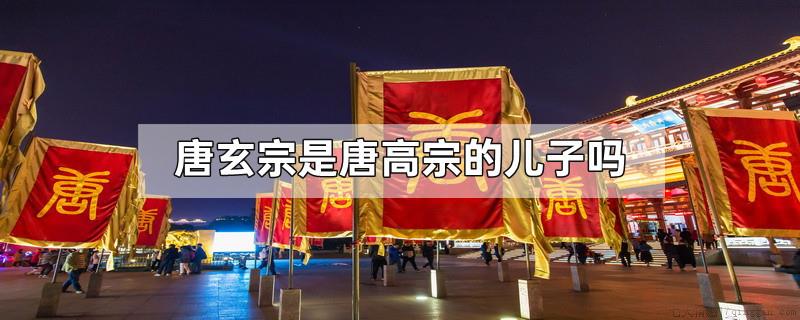 唐玄宗是唐高宗的儿子吗
