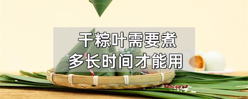 干粽叶需要煮多长时间才能用
