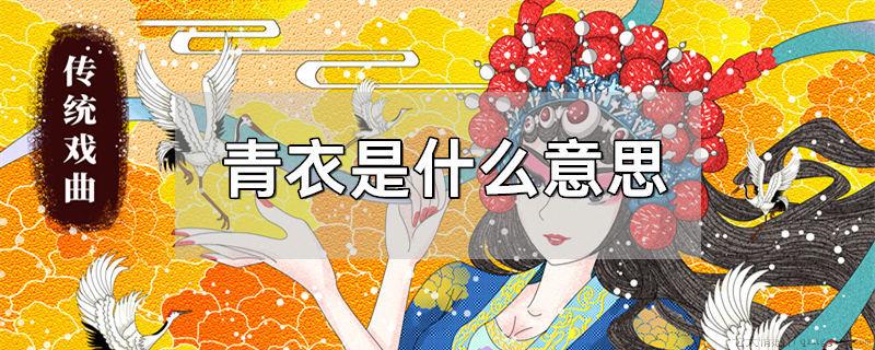 青衣是什么意思