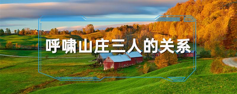 呼啸山庄三人的关系