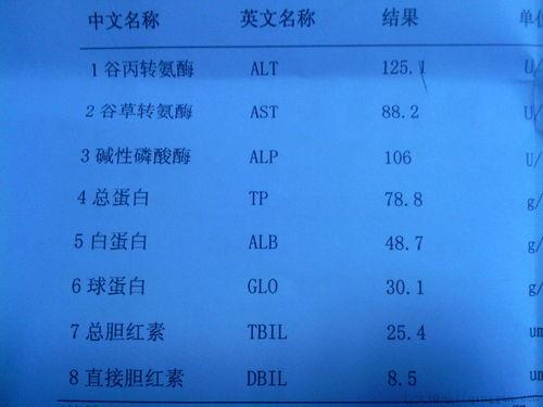 hbv阳性是什么意思