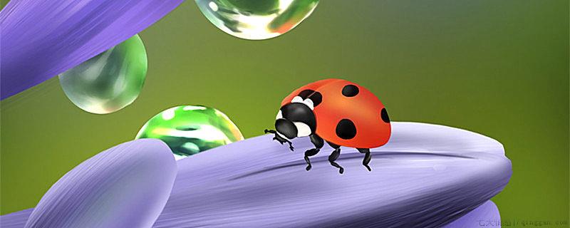 世界上有多少种瓢虫