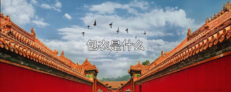 包衣是什么