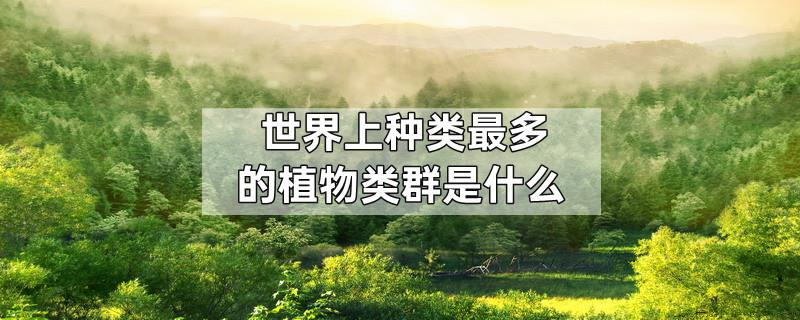 世界上种类最多的植物类群是什么