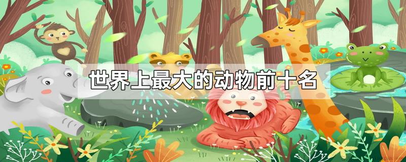 世界上最大的动物前十名