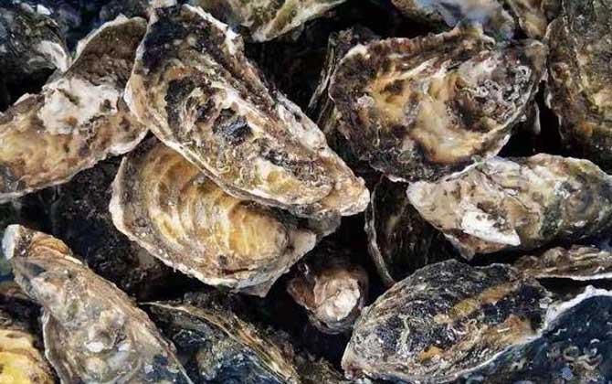 生蚝怎么处理干净