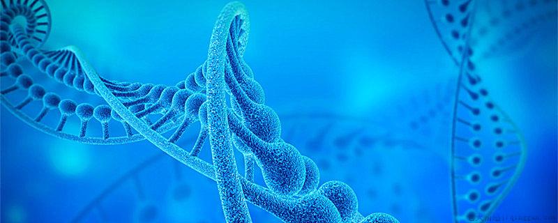 生物医学工程主要学什么