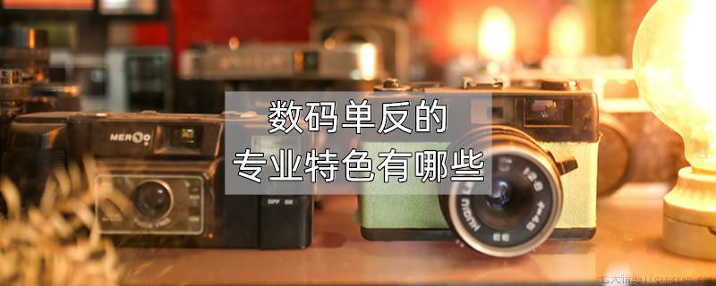 数码单反的专业特色有哪些