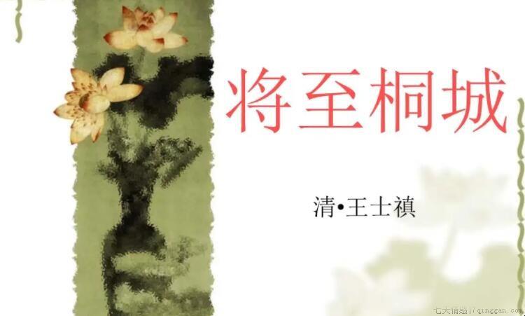《将至桐城》的作者是谁