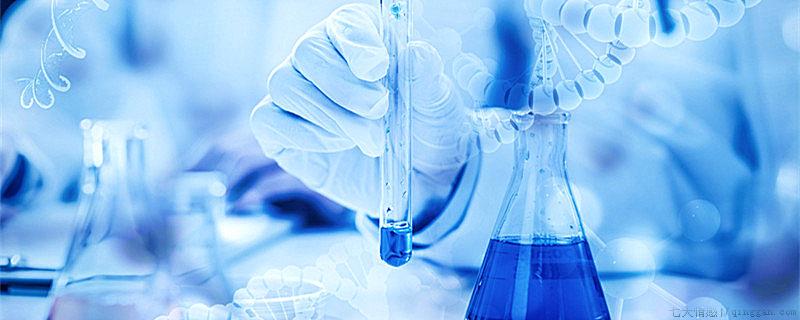 生物医学工程是干什么的