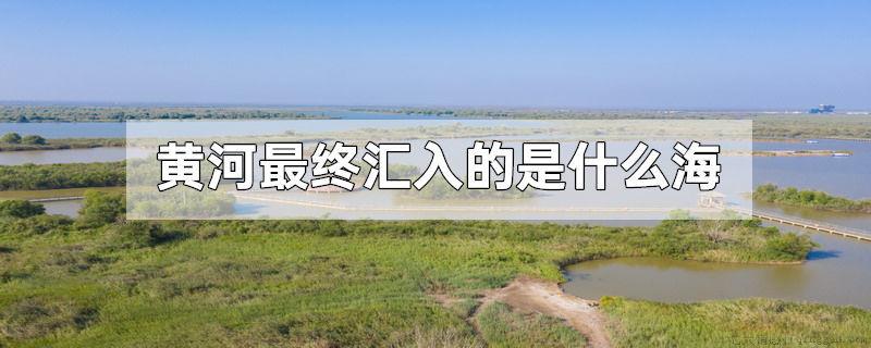 黄河最终汇入的是什么海