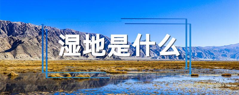 湿地是什么