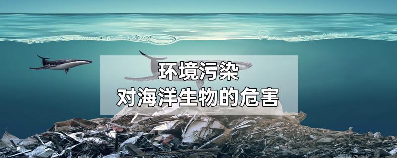 环境污染对海洋生物的危害