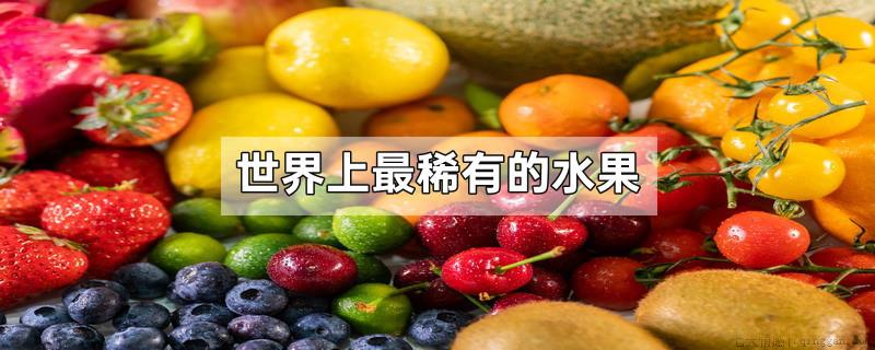 世界上最稀有的水果