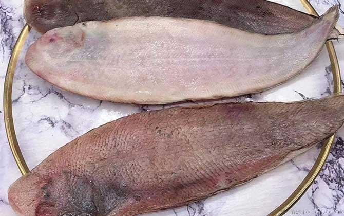 龙利鱼价格多少钱一斤