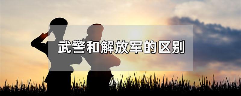 武警和解放军的区别