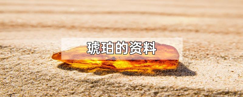 琥珀的资料