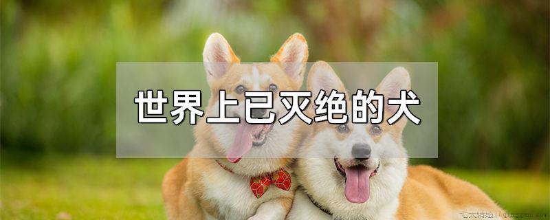 世界上已灭绝的犬