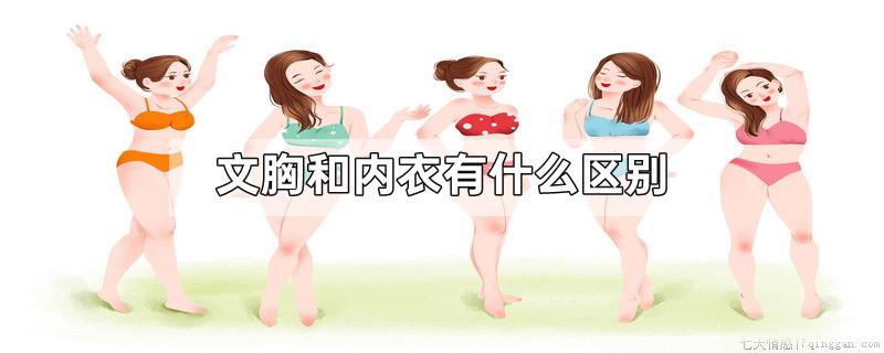 文胸和内衣有什么区别