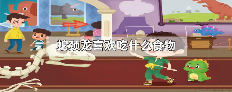 蛇颈龙喜欢吃什么食物