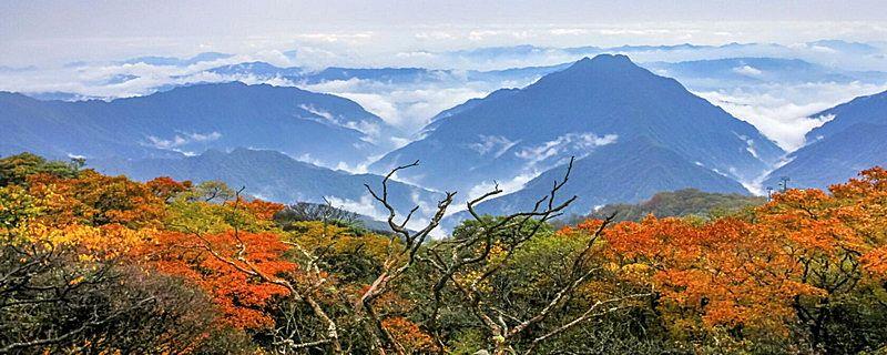 梵净山在哪里