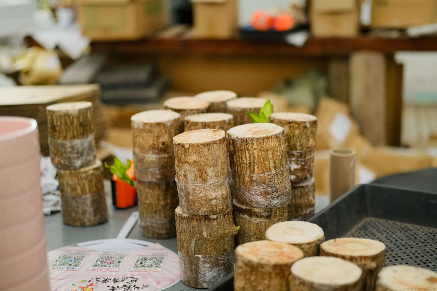 巴西木黄叶是什么原因，黄叶怎么办