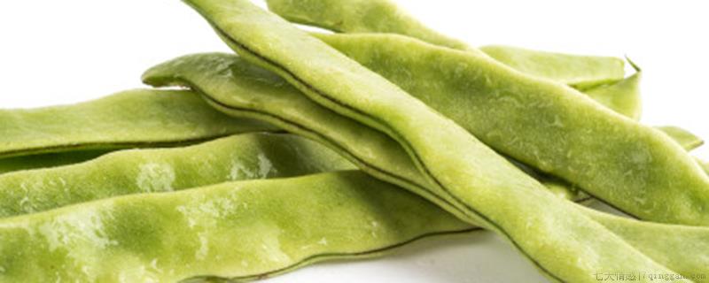 芸豆是不是四季豆