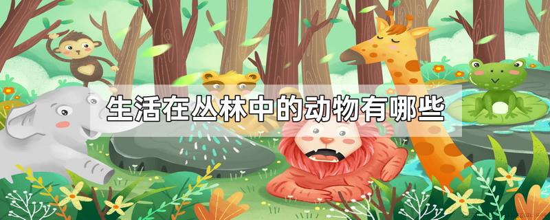 生活在丛林中的动物有哪些