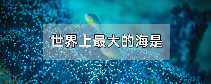 世界上最大的海是