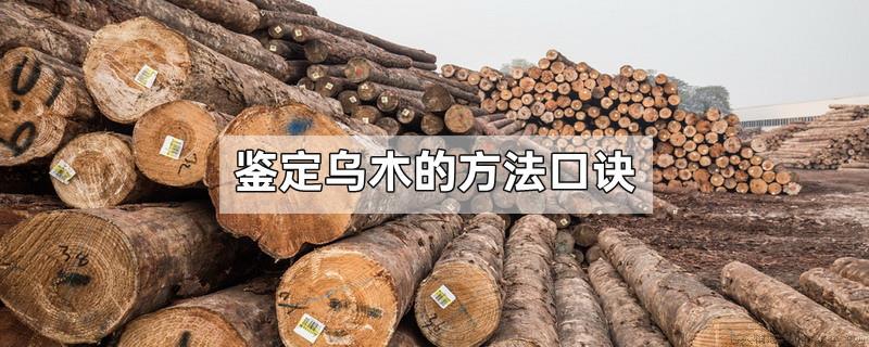 鉴定乌木的方法口诀