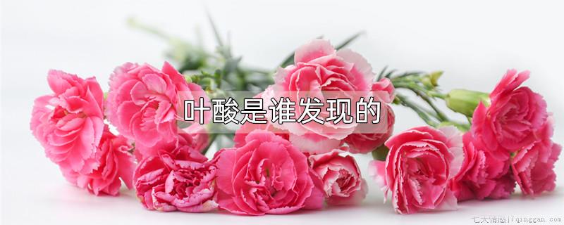 叶酸是谁发现的