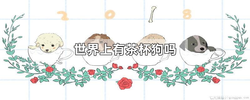世界上有茶杯狗吗