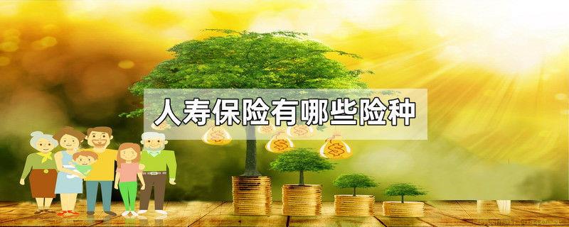 人寿保险有哪些险种