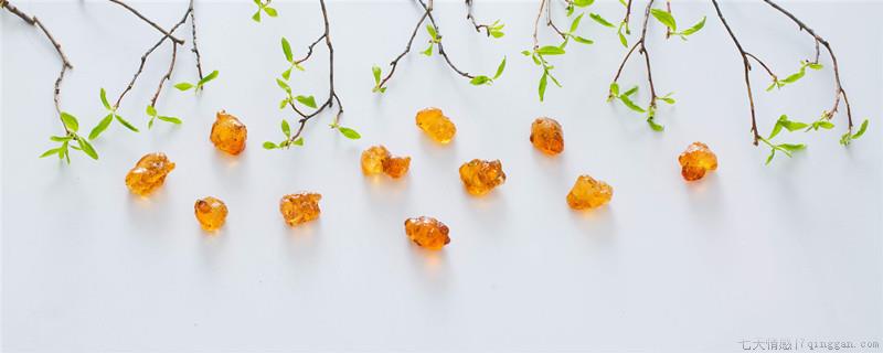 桃树为什么流胶