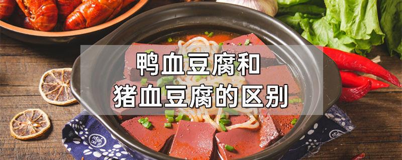 鸭血豆腐和猪血豆腐的区别
