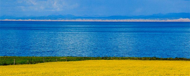 西海龙王的西海在哪里