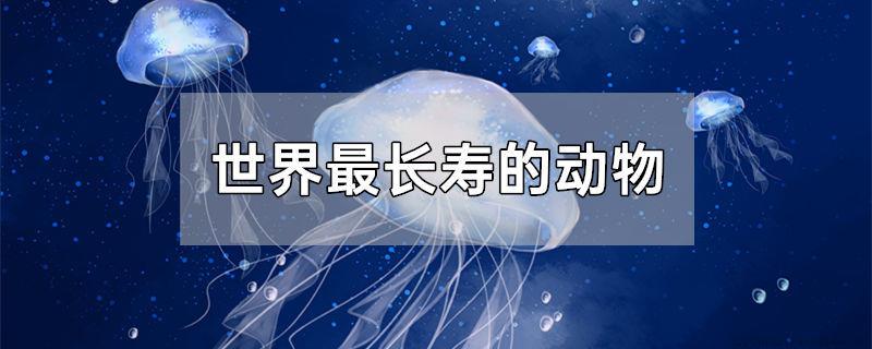 世界最长寿的动物