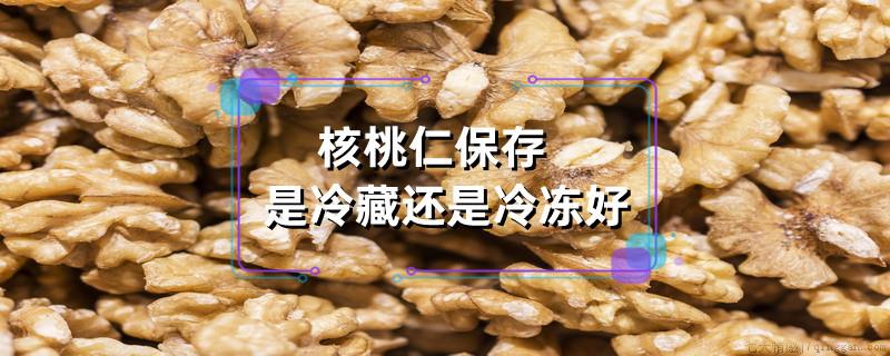 核桃仁保存是冷藏还是冷冻好