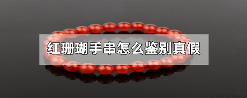 红珊瑚手串怎么鉴别真假