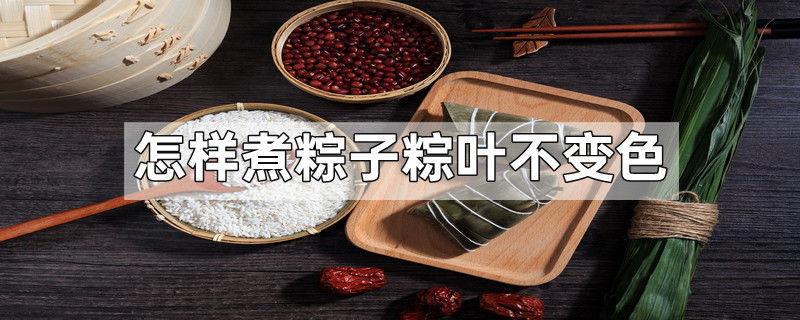 怎样煮粽子粽叶不变色
