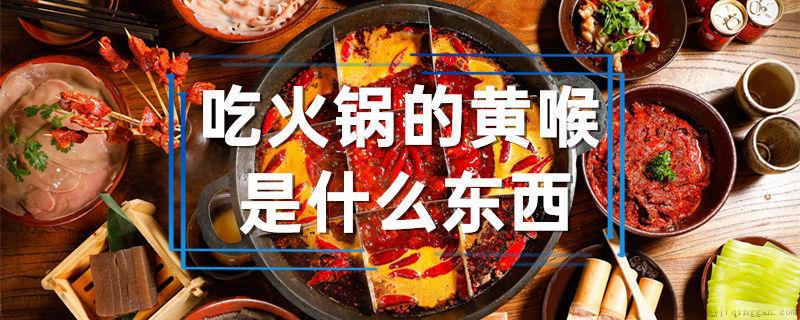 吃火锅的黄喉是什么东西