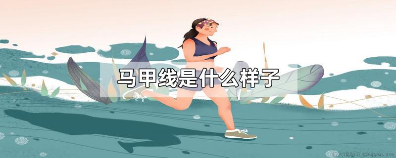 马甲线是什么样子